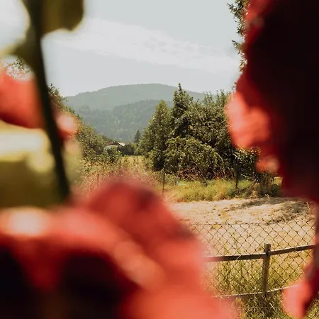 Na Wzgorzu Farmház Sopotnia Wielka