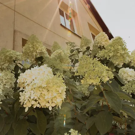Farm stay Na Wzgorzu Sopotnia Wielka