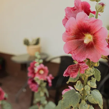 Farm stay Na Wzgorzu Sopotnia Wielka