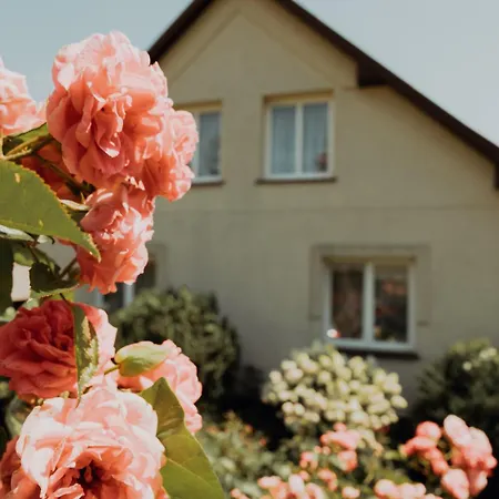 Na Wzgorzu Sopotnia Wielka