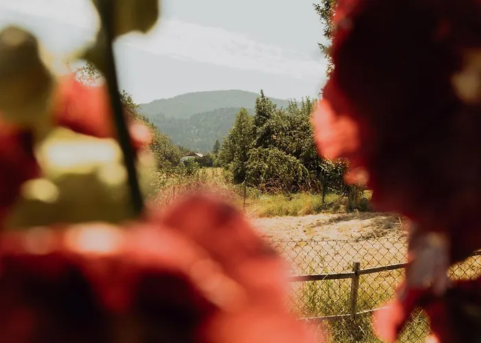 Na Wzgorzu בית חווה Sopotnia Wielka