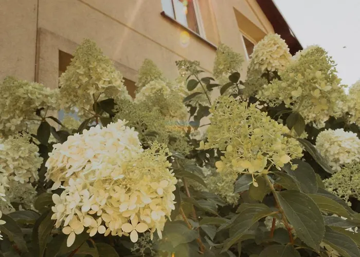 בית חווה Na Wzgorzu Sopotnia Wielka