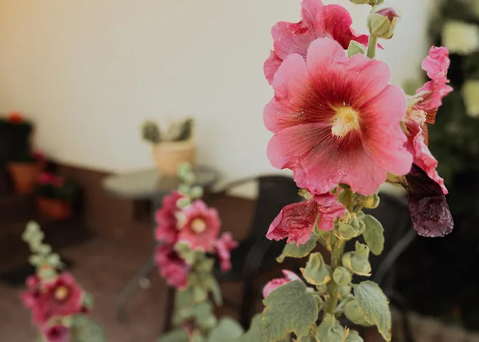 בית חווה Na Wzgorzu Sopotnia Wielka