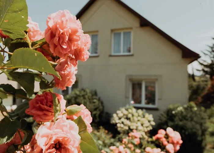 Na Wzgorzu Sopotnia Wielka